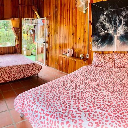Moc Gia Vien Homestay - 大叻 外观 照片